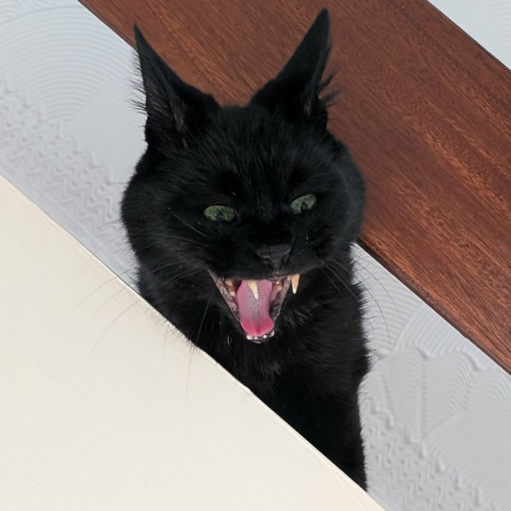 Tiny gargoyle