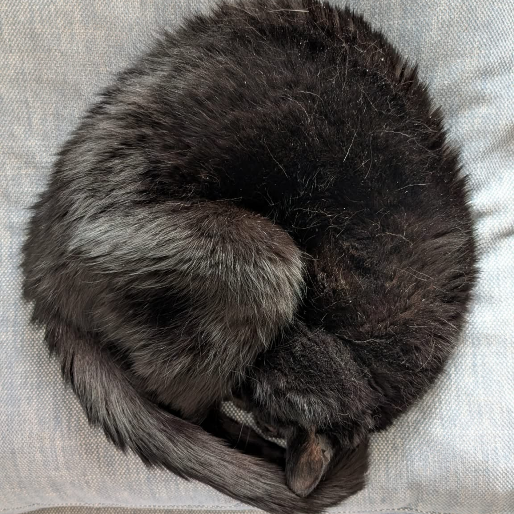 Small circle of furry love