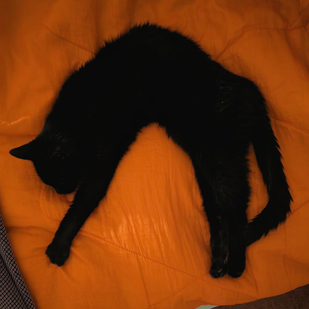 09