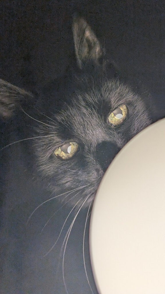 11