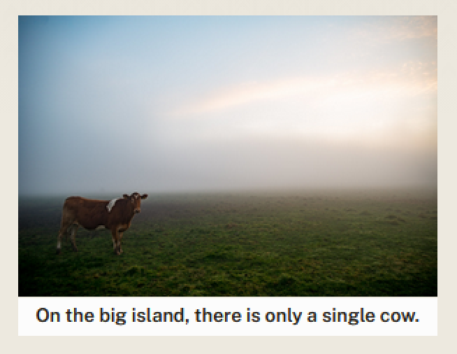 cow2